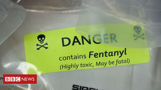 Chống tin giả để xây dựng một ''thế giới không có ma túy'' ảnh 1