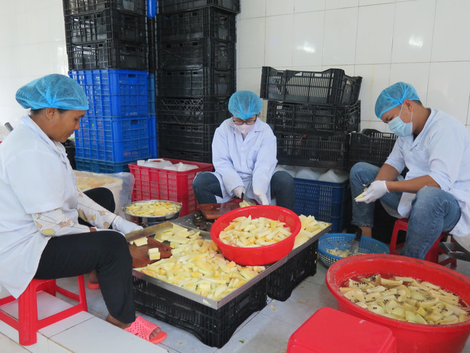 Dịch COVID-19: Tháo gỡ thủ tục hành chính cho doanh nghiệp nông nghiệp ảnh 1