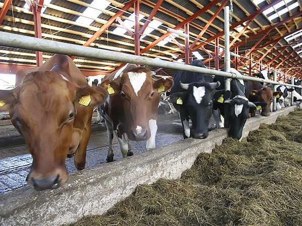 Sự kiện quốc tế tuần 21/3--27/3: Hiểm họa thế hệ "thánh chiến mới" ảnh 7