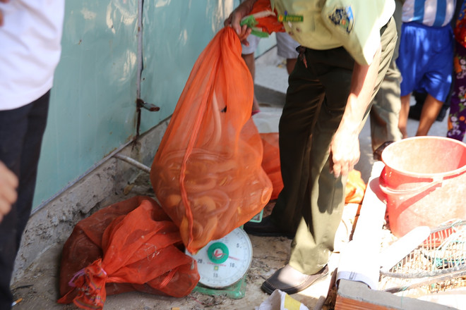 Đặc vụ xóa sổ 'địa ngục chim trời': Cuộc chiến không khoan nhượng ảnh 4