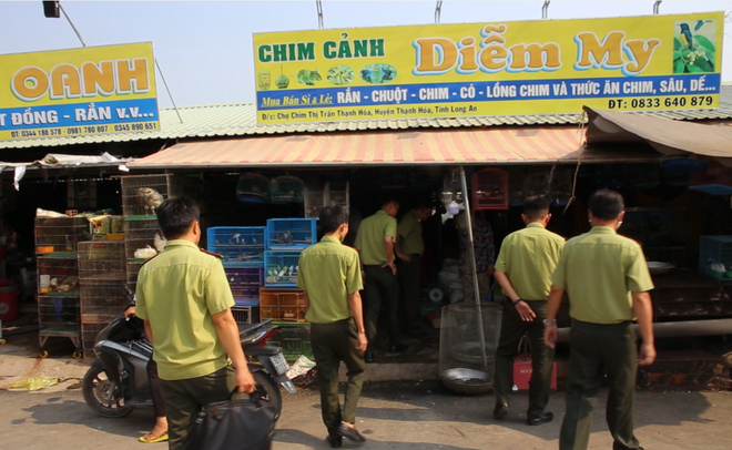 Đặc vụ xóa sổ 'địa ngục chim trời': Cuộc chiến không khoan nhượng ảnh 1