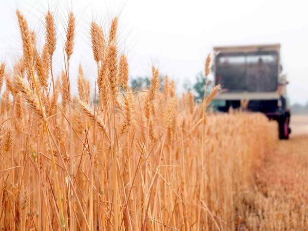 Nhật Bản-Trung Quốc-Hàn Quốc bắt đầu vòng đàm phán FTA 3 bên ảnh 1