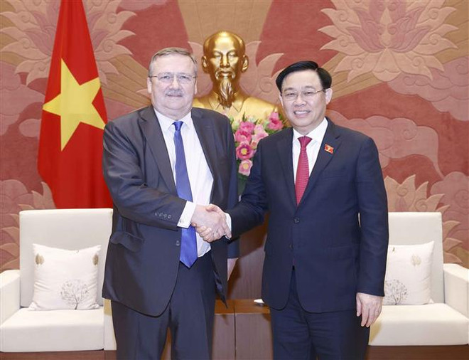 Làm sâu sắc hơn nữa quan hệ song phương Việt Nam-Hungary ảnh 1