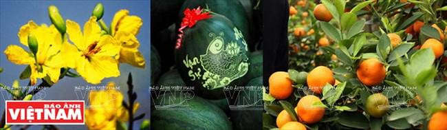 Sản vật Tết - thú ăn, chơi tao nhã của người Việt các vùng miền ảnh 6