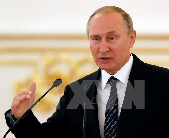 Tổng thống Putin: Nga không có đối tác lớn hay đối tác bé ảnh 1