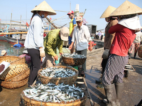 Quảng Trị chi trả tiền bồi thường đợt 2 trong sự cố môi trường biển ảnh 1