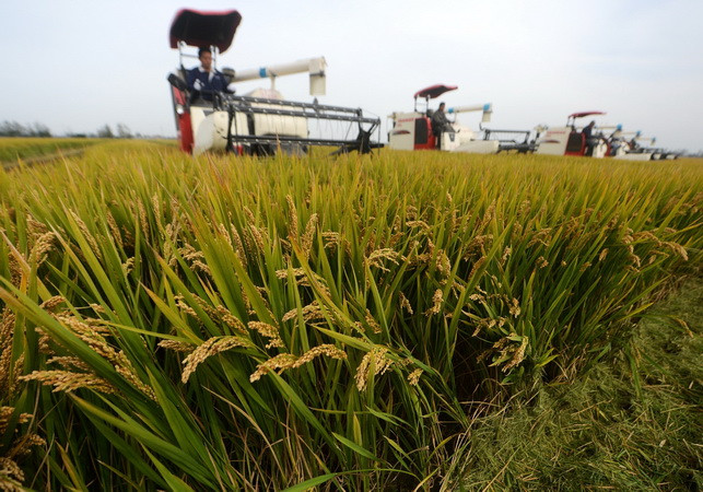 Các nước Đông Nam Á sẽ thiệt hại trầm trọng vì biến đổi khí hậu ảnh 1