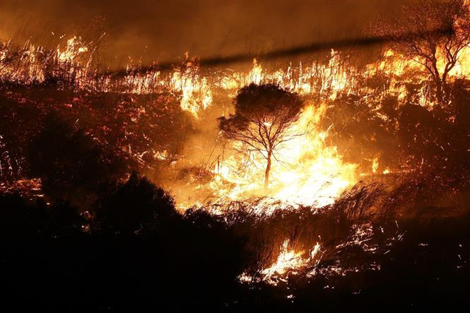 Đề xuất của Việt Nam về “bước nhảy lượng tử” trong tham vọng khí hậu ảnh 2