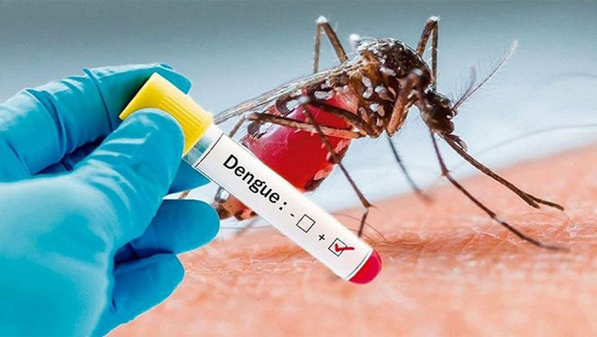 (Nguồn: BSS News) Bangladesh: 21 người tử vong do sốt xuất huyết chỉ trong một ngày ảnh 1