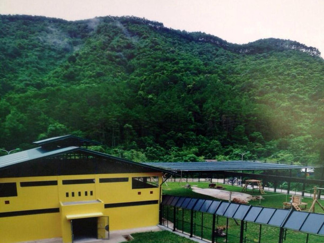 Khánh thành "ngôi nhà gấu" lớn nhất Việt Nam ở Tam Đảo ảnh 3