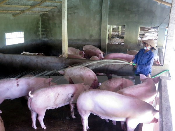 Sự kiện trong nước 24-30/7: Cháy xưởng sản xuất bánh kẹo, 8 người chết ảnh 7