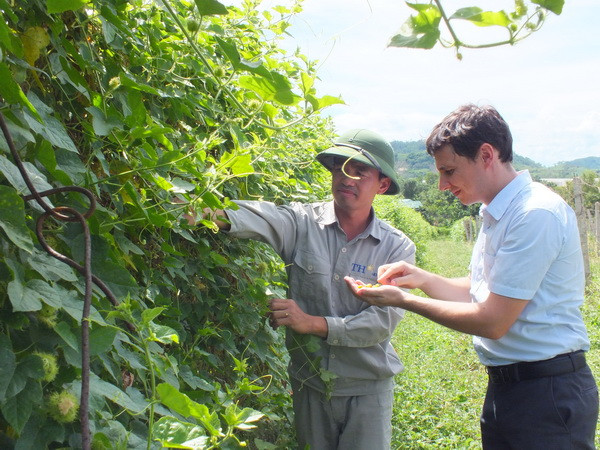 Sản phẩm thảo dược: Sự chuyển hướng trong ngành đồ uống ảnh 3