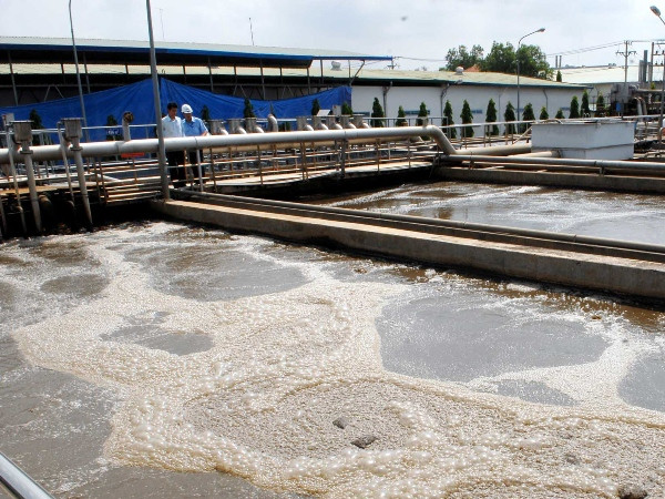 Hệ thống xử lý nước thải trong các khu công nghiệp ở Việt Nam cần phải được đầu tư bài bản. (Ảnh: TTXVN) "Các khu công nghiệp ở Việt Nam vẫn còn gây ô nhiễm nặng nề" ảnh 1