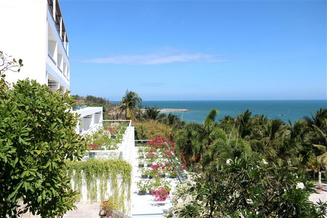 Năm Du lịch Quốc gia 2023 - cơ hội để du lịch Bình Thuận “cất cánh” ảnh 2