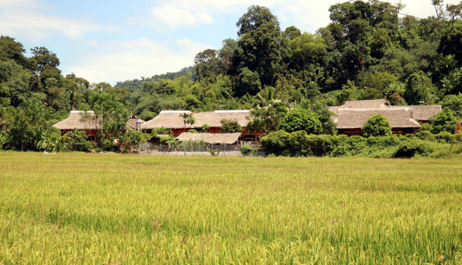 Làng văn hóa thôn Tân Lập, xã Tân Trào, huyện Sơn Dương. (Ảnh Quang Đán/TTXVN) Diện mạo nông thôn mới khởi sắc ở tỉnh miền núi Tuyên Quang ảnh 2