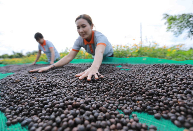 Kinh tế Việt Nam vẫn phục hồi mạnh mẽ bất chấp bất ổn toàn cầu ảnh 1