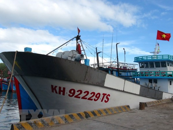 Những bất cập về ''Tàu 67'' làm "nóng" nghị trường Quốc hội ảnh 2