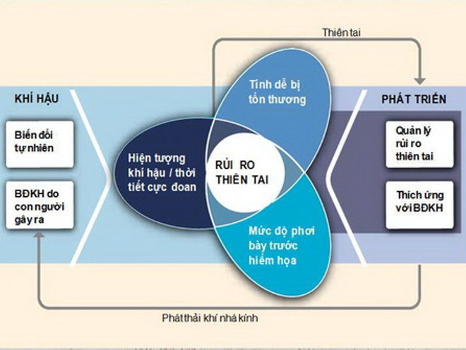 Công bố báo cáo quản lý rủi ro thiên tai và hiện tượng cực đoan ảnh 2