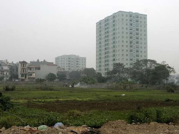 Hà Nội tổ chức đấu giá nhiều dự án đất làm nhà ở trong quý 4 ảnh 1