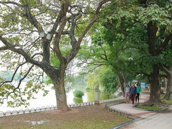 Miền Trung mưa giảm dần, Nam Bộ thời tiết tiếp tục khô nóng ảnh 1