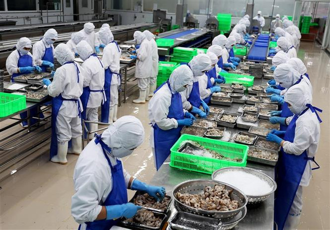 Thúc đẩy hài hòa lợi ích giữa doanh nghiệp và người lao động ảnh 1