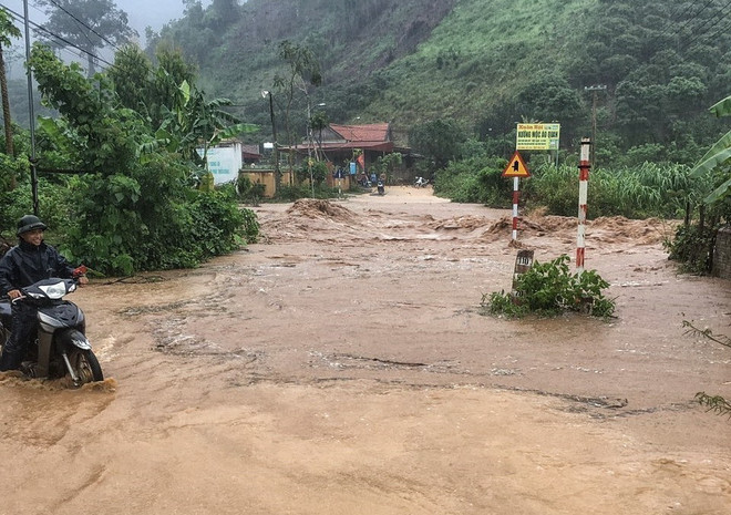 Bắc Giang: Mưa lớn gây ngập úng khoảng 600ha cây ăn quả và hoa màu ảnh 1