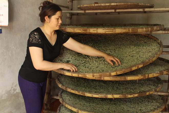 Thăng trầm nghề trồng dâu, nuôi tằm, dệt nhiễu Hồng Đô ảnh 4