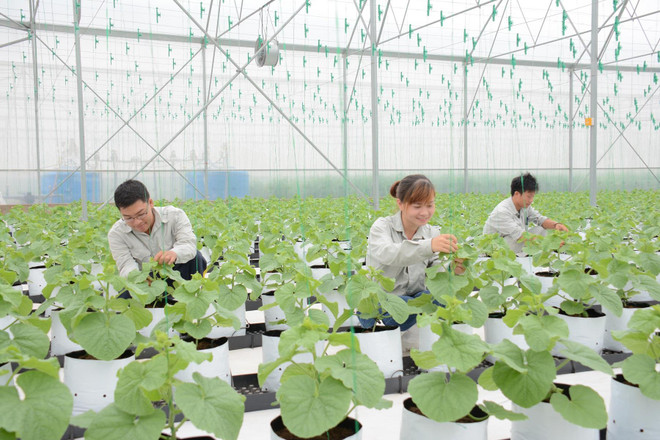 Các mặt hàng thực phẩm đồng loạt xuống giá, CPI tháng Ba giảm 0,21% ảnh 1