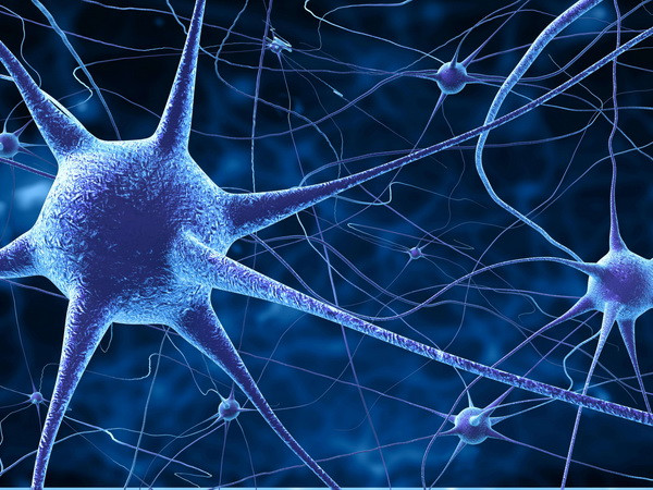 Chế độ dinh dưỡng cho mẹ bầu để thai nhi phát triển não bộ tốt ảnh 1