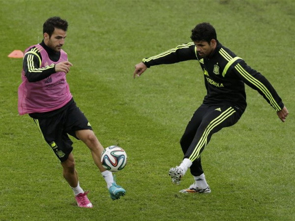 Tiền đạo Diego Costa bị cổ động viên Brazil khủng bố ảnh 1