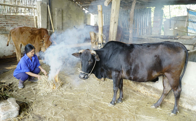 Bắc Bộ và Trung Bộ xuất hiện 3-4 đợt rét đậm, rét hại trong tháng Một ảnh 1