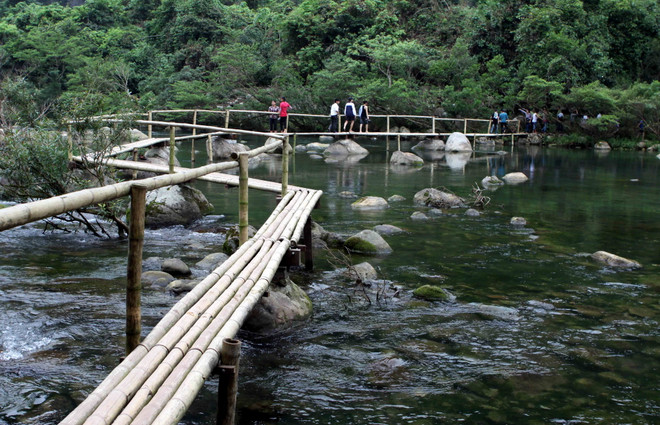 Tuyên án 14 bị cáo trong vụ “cướp gỗ huê” tại Phong Nha-Kẻ Bàng ảnh 1