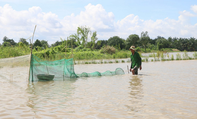 ttxvn-an giang 3.jpg