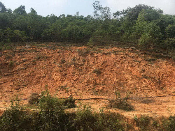 Mưa lớn gây sạt lở taluy và ách tắc một số tuyến đường ở Yên Bái ảnh 1