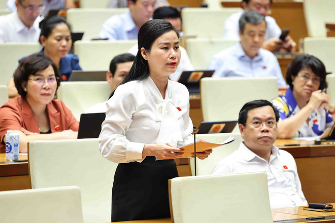 Đại biểu Quốc hội tỉnh Quảng Nam Đặng Thị Bảo Trinh phát biểu ý kiến. (Ảnh: Minh Đức/TTXVN) quoc_hoi_thao_luan_ve_du_thao_luat_bao_hiem_xa_hoi_sua_doi2.jpg