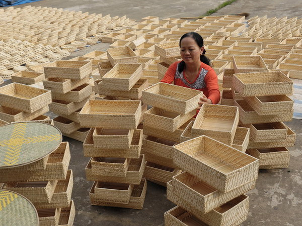 Phát triển ngành mây tre đan xuất khẩu: Cần vùng nguyên liệu ổn định ảnh 1