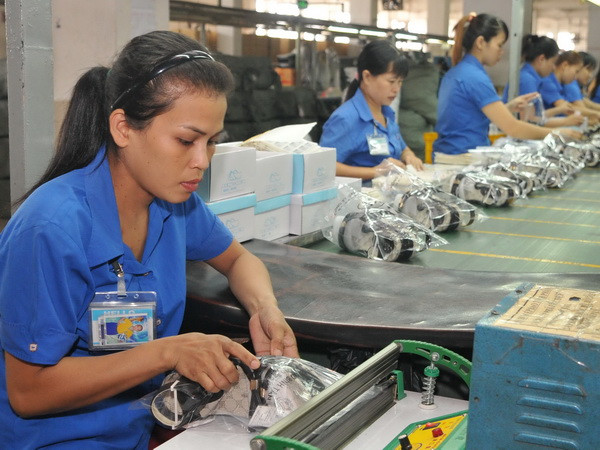 Cơ hội cho hàng Việt thâm nhập vào thị trường Đức còn rất lớn ảnh 1