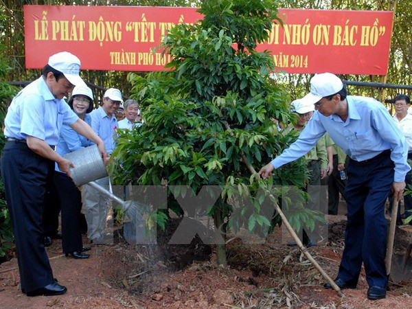 Trồng hơn 13.000 cây xanh tại khu mộ Đại tướng Võ Nguyên Giáp ảnh 1