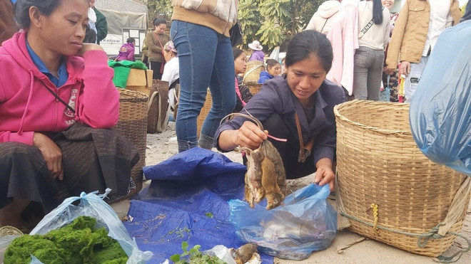 Chợ phiên biên giới Na Mèo: Điểm giao thương của người dân Việt-Lào ảnh 3