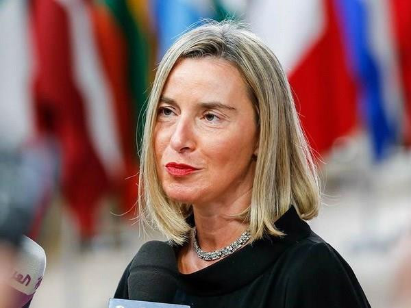 EU tái khẳng định lập trường liên quan cao nguyên Golan ảnh 1