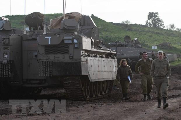 Mỹ bị cô lập tại Hội đồng Bảo an về quyết định công nhận Golan ảnh 1