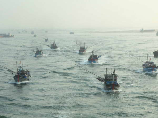 Đà Nẵng đưa nhiều tàu công suất lớn vươn khơi, bám biển ảnh 1