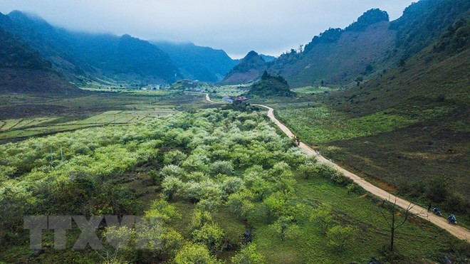 Hai ngày cuối tuần Bắc Bộ vẫn rét, Nam Bộ có nắng nóng ảnh 1