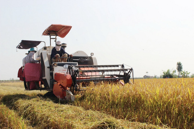 ttxvn-Bac Lieu111.jpg