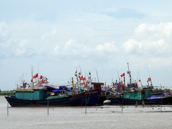 Ngư dân không “mặn mà” với thiết bị kết nối vệ tinh tàu cá ảnh 1