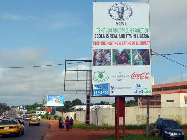 CHDC Congo bùng phát bệnh sốt xuất huyết chưa rõ nguồn gốc ảnh 1