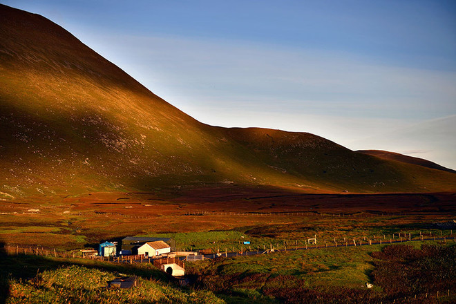 Chán cả chó lẫn mèo, hãy tới hòn đảo thần tiên của ngựa tí hon ảnh 3