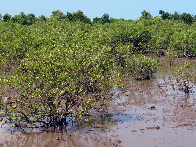 Thủy điện: Thách thức đáng lo nhất với việc bảo tồn đa dạng sinh học ảnh 2