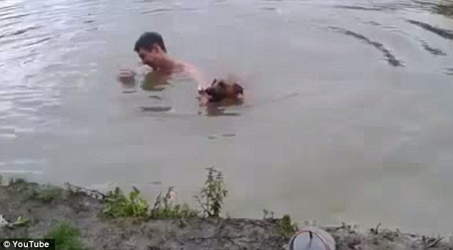 Lầm tưởng ông chủ chết đuối, chú chó lao xuống hồ cứu ảnh 3