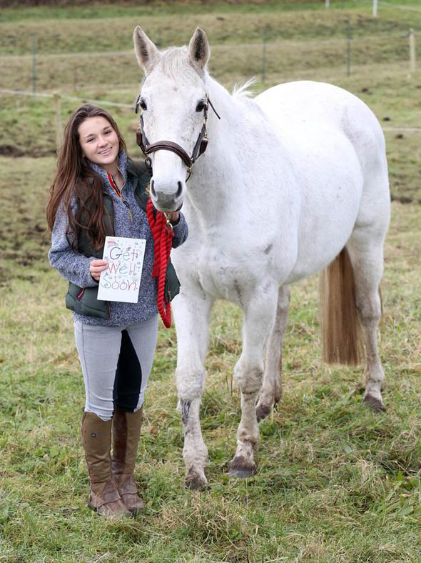 Cảnh màn giải cứu kịch tính và hài hước chú ngựa khỏi ống cống ảnh 4